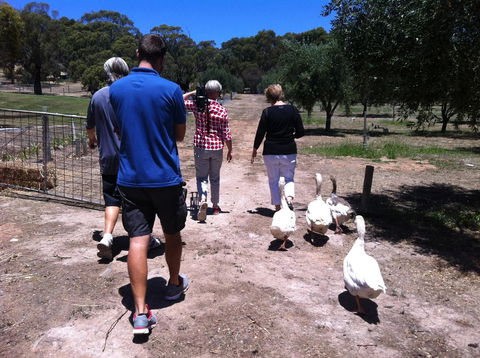 The Farm Willunga - St Kilda Accommodation 1
