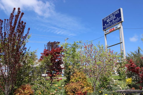 Top Of The Town Motel - St Kilda Accommodation 1