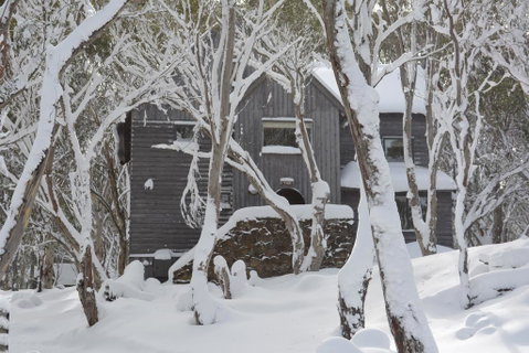 Tyee - St Kilda Accommodation 0