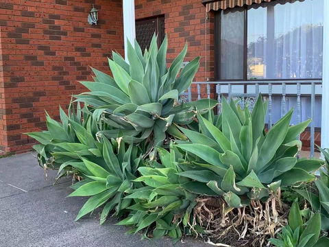Vintage House In Bentleigh East - St Kilda Accommodation 1