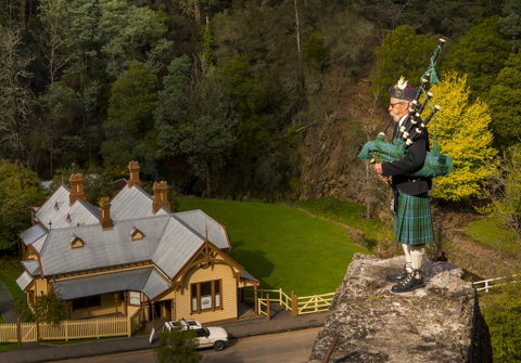 Walhalla Wild Cherry - St Kilda Accommodation 2