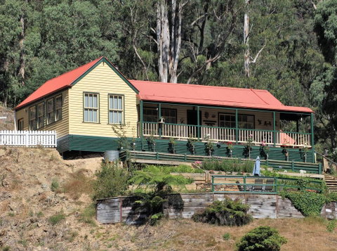 Walhalla Wild Cherry - St Kilda Accommodation 0