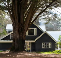 The Orchard - St Kilda Accommodation
