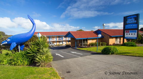 Blue Whale Motor Inn & Apartments - St Kilda Accommodation 0