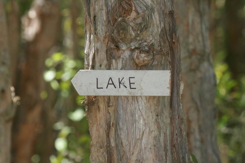 Lake Weyba Noosa Lodge & Kangaroos - St Kilda Accommodation 36