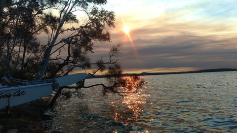 Lake Weyba Noosa Lodge & Kangaroos - St Kilda Accommodation 40