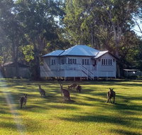 Lake Weyba Noosa Lodge  Kangaroos - St Kilda Accommodation