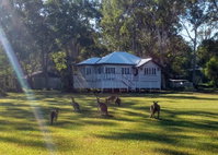 Book Peregian Beach Accommodation Vacations St Kilda Accommodation St Kilda Accommodation