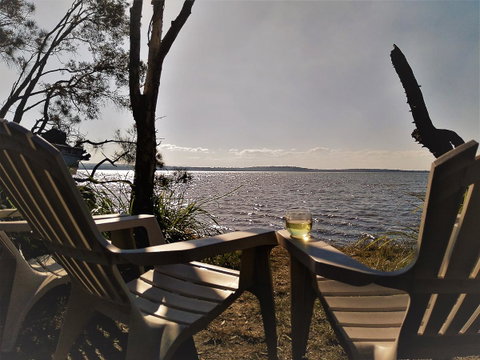 Lake Weyba Noosa Lodge & Kangaroos - St Kilda Accommodation 3