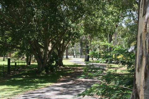 Lake Weyba Noosa Lodge & Kangaroos - St Kilda Accommodation 34