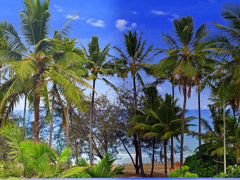 By The Sea Port Douglas - St Kilda Accommodation 3