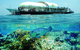 The Sebel Whitsundays - thumb 9