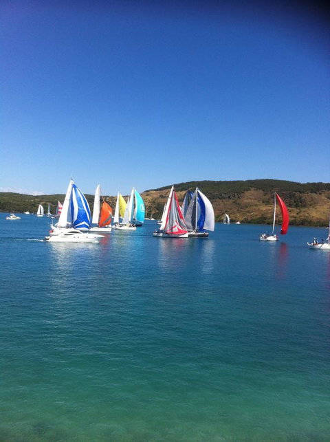 Montipora Unit 3 - In The Heart Of Airlie, Wi-fi And Netflix - St Kilda Accommodation 19