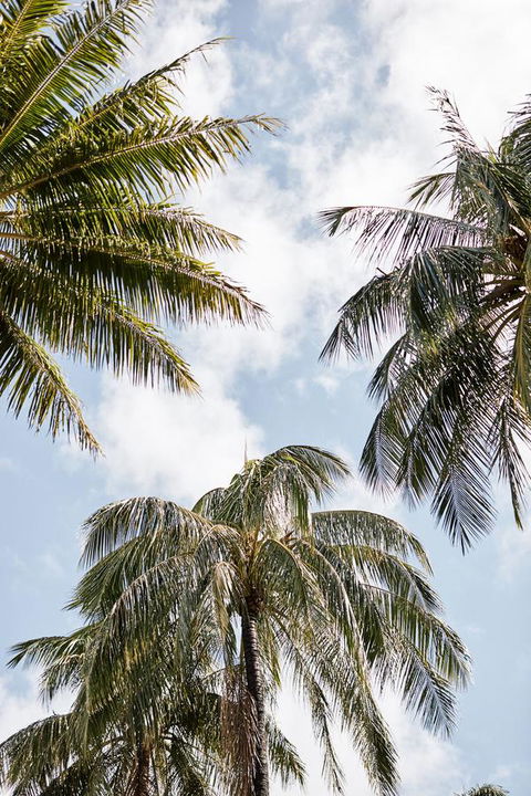 Novotel Cairns Oasis Resort - St Kilda Accommodation 9