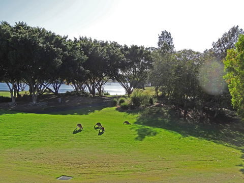 Waterfront Resort Villa With Buggy - St Kilda Accommodation 32