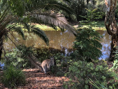 Waterfront Resort Villa With Buggy - St Kilda Accommodation 25