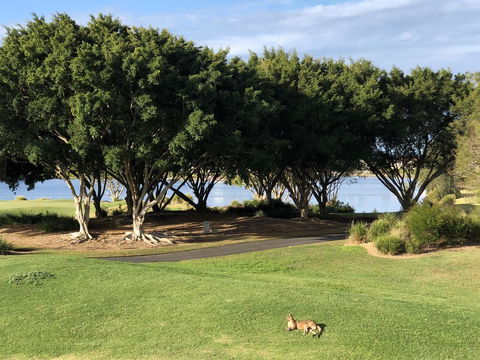 Waterfront Resort Villa With Buggy - St Kilda Accommodation 21