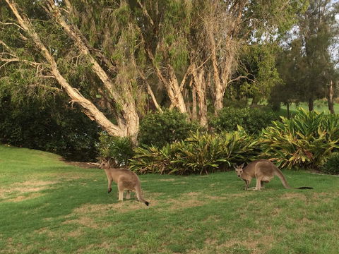Waterfront Resort Villa With Buggy - St Kilda Accommodation 19