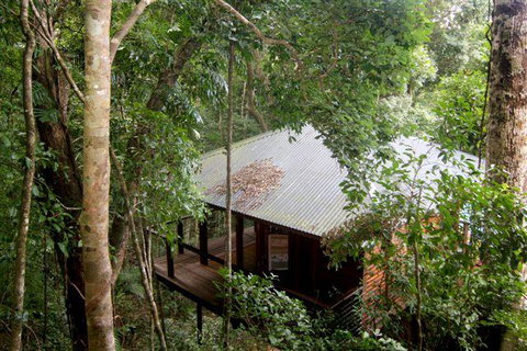 Cairns Rainforest Retreat - St Kilda Accommodation 0