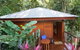 Cairns Rainforest Retreat - thumb 5