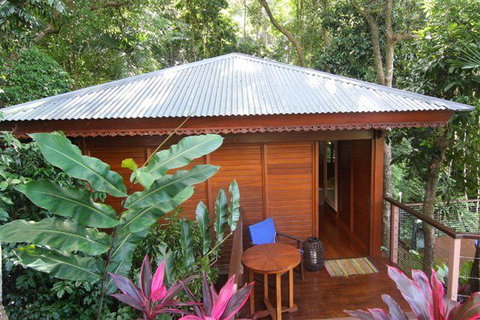 Cairns Rainforest Retreat - St Kilda Accommodation 5