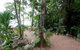 Cairns Rainforest Retreat - thumb 10