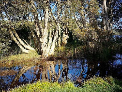 Wisteria Cottage On The Lagoon/Beach - St Kilda Accommodation 2