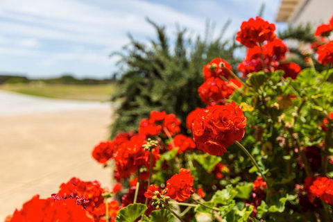 Wytonia Beachfront Accommodation - St Kilda Accommodation 3
