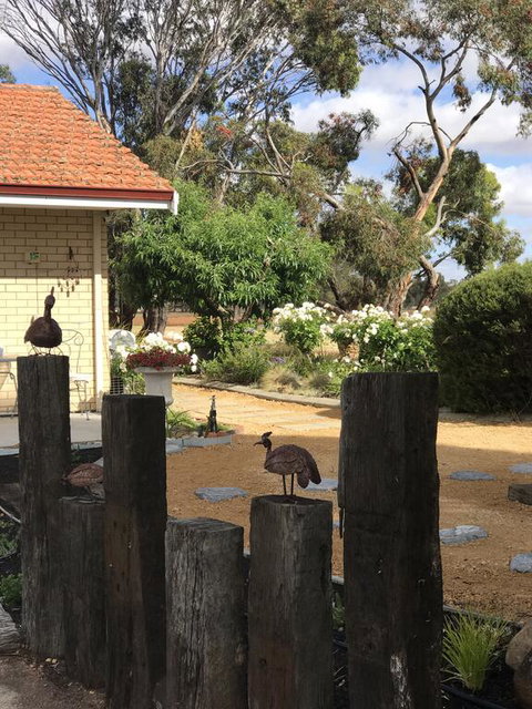 Yellow Gum Bed And Breakfast - St Kilda Accommodation 2