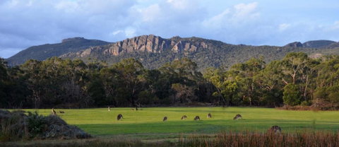 A Boat In The Grampians - St Kilda Accommodation 0