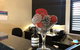 Abbotsleigh Motor Inn - thumb 1