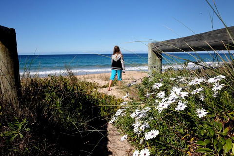 Absolute Beachfront Mollymook - St Kilda Accommodation 4
