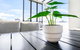 Accent On McLeod - Breezy Outdoor Living - thumb 0