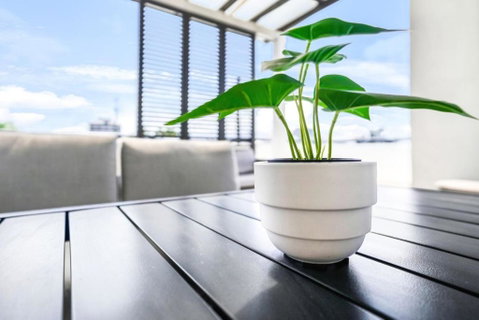 Accent On McLeod - Breezy Outdoor Living - St Kilda Accommodation 0