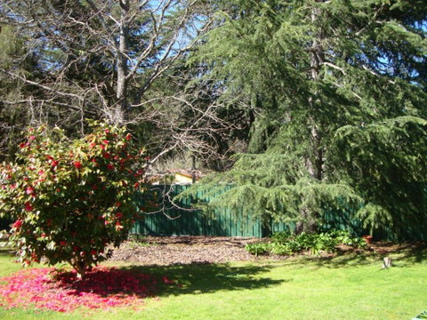 Ageri Holiday House - St Kilda Accommodation 3