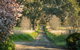 AL RU Farm - thumb 2