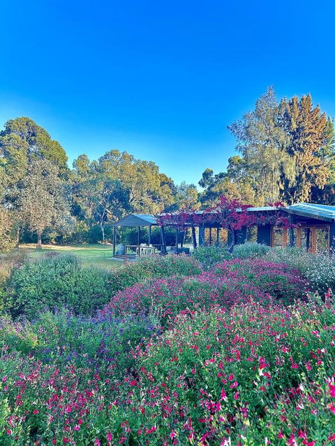 Alluca Villa McLaren Vale Vineyard Escape - St Kilda Accommodation 4
