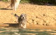 Anchors Away At Innes Park Opp Park & Beach Dogs Welcome Inside - thumb 0