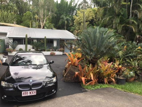 Ancient Gardens Guesthouse & Botanical Gardens - St Kilda Accommodation 2