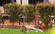 Alpha Hotel Canberra - thumb 3