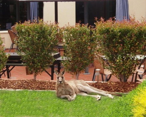 Alpha Hotel Canberra - St Kilda Accommodation 3