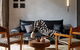 Apartment In Pyrmont - thumb 0
