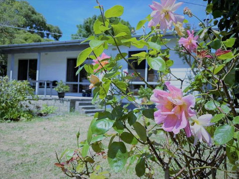 Apollo Bay Holiday House - St Kilda Accommodation 1