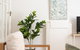 Art Deco Coastal Living, Minutes To The Sand - thumb 1