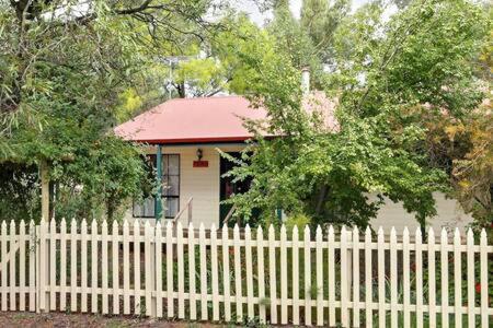 Auburn Hideaway - St Kilda Accommodation 0