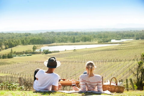 Audrey Wilkinson Vineyard - St Kilda Accommodation 0