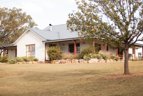 Audrey Wilkinson Vineyard - St Kilda Accommodation 4