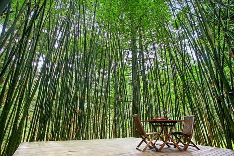 Azabu Retreat & Spa - St Kilda Accommodation 1