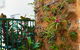 Port Douglas Apartments - Adults Only Oasis - thumb 27
