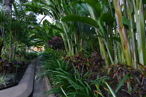 Port Douglas Apartments - Adults Only Oasis - St Kilda Accommodation 9